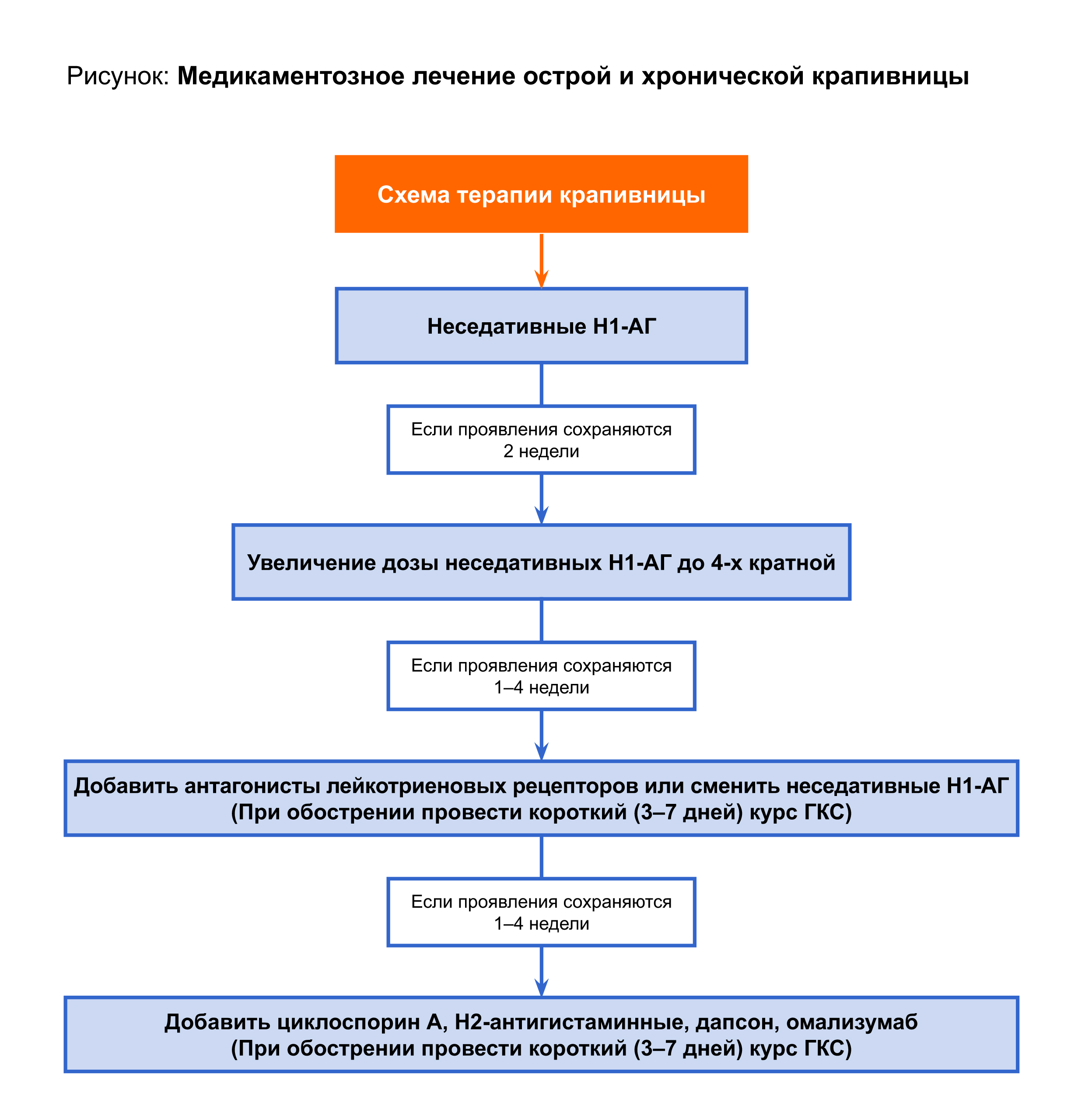 Схема лечения при крапивнице у взрослых