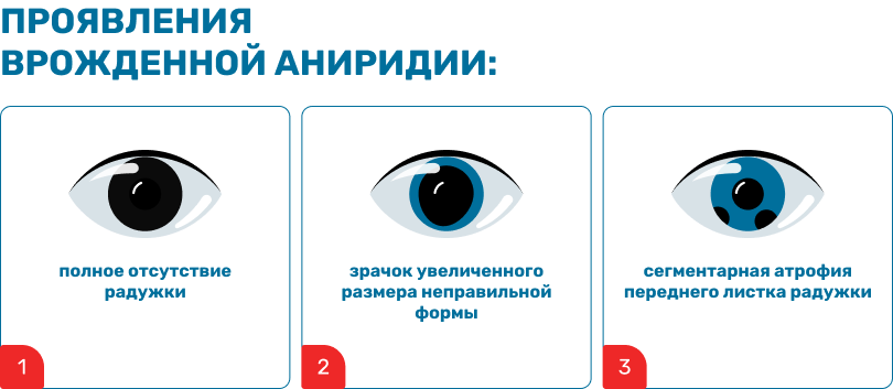 kartochka_1_1.png (34 KB)