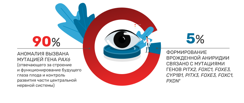 kartochka_2_2.png (74 KB)