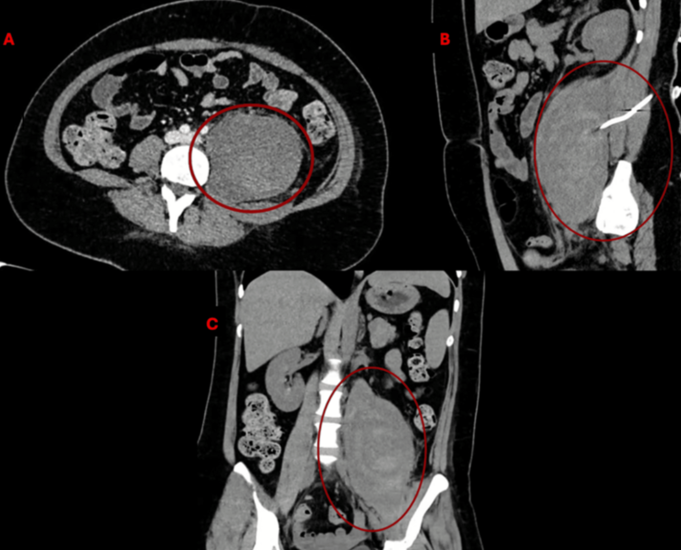 snimok_ekrana_2026-02-04_v_13.16.52.png (1.26 MB)